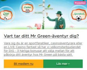 Bland svenska casinon så finns Mr Green kvar!